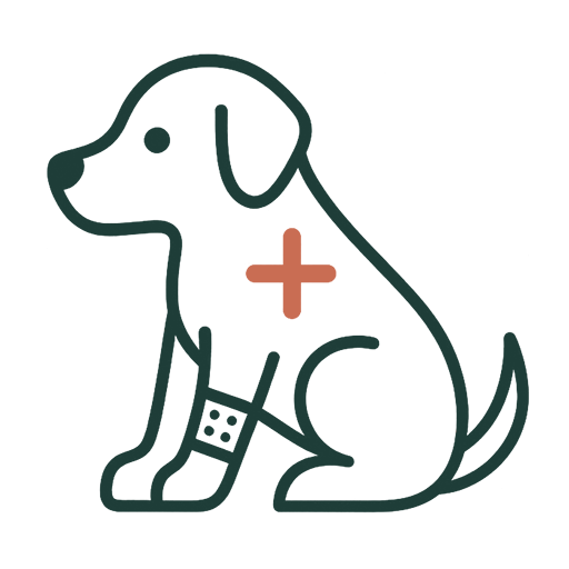 Senior o con necesidades especiales — bienestar y cuidado Perro adulto con vendaje en la pata y una cruz, símbolo de la necesidad de cuidados adaptados, por ser mayor o tener necesidades especiales.
