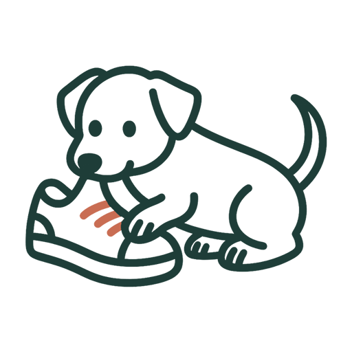 Cachorro en casa — primeras rutinas y convivencia Perro cachorro mordiendo una zapatilla deportiva. Educación temprana y
primeros aprendizajes en casa.