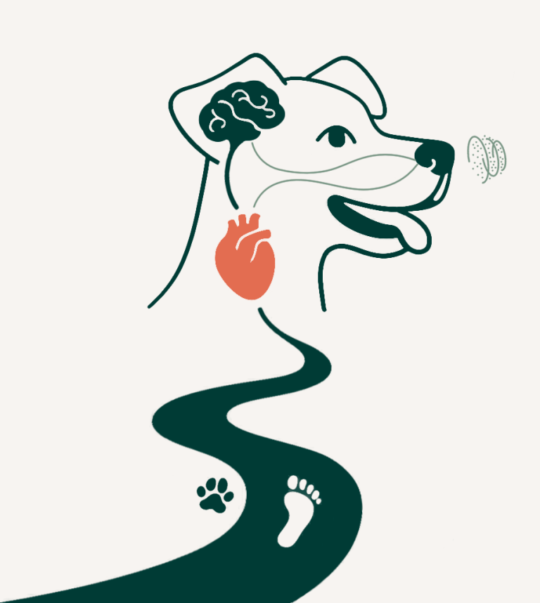 Factores que influyen en la conducta canina — Educa Perrunamente Perro con cerebro, corazón y olfato conectados con un camino en el que hay una huella de perro y pie humano: lo que influye en la conducta.